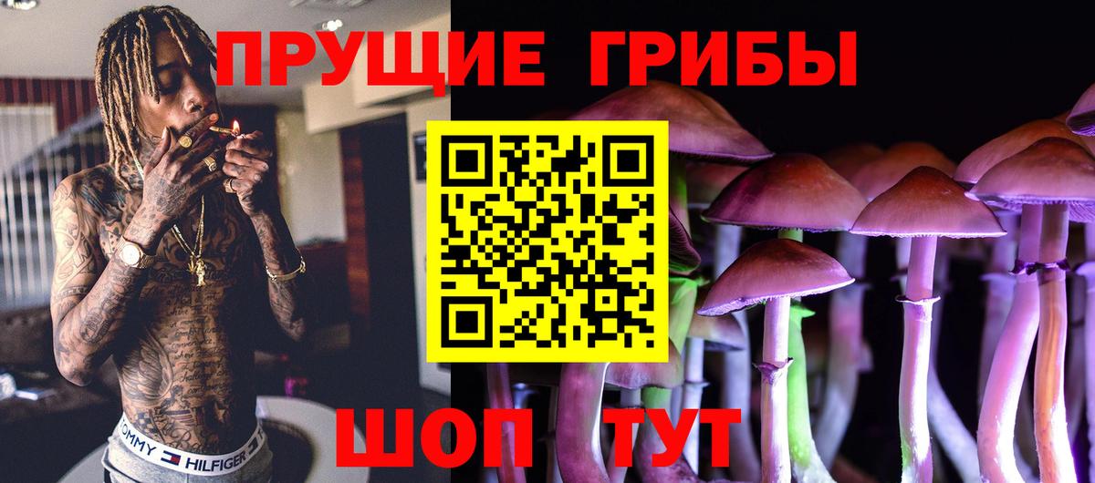 где купить наркоту  Галлюциногенные грибы GOLDEN TEACHER  Вход с VPN  Зеленогорск 