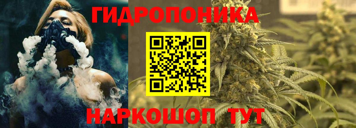 Бошки марихуана VHQ  Каннабис план  Каннабис Amnesia  Зеленогорск  Вход с VPN 